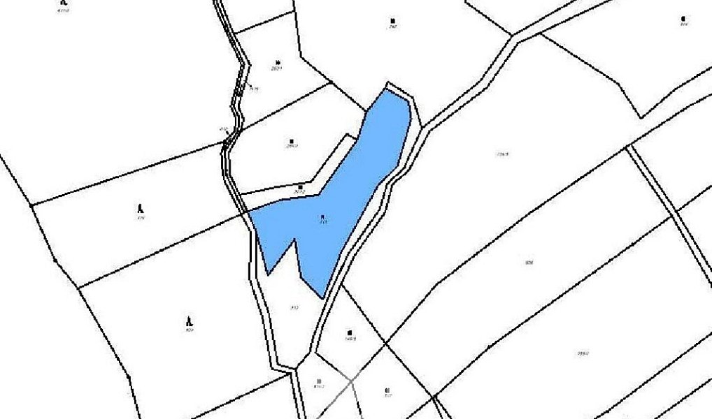 Prodej louky 3 277 m², Bílá – náhled fotky 4