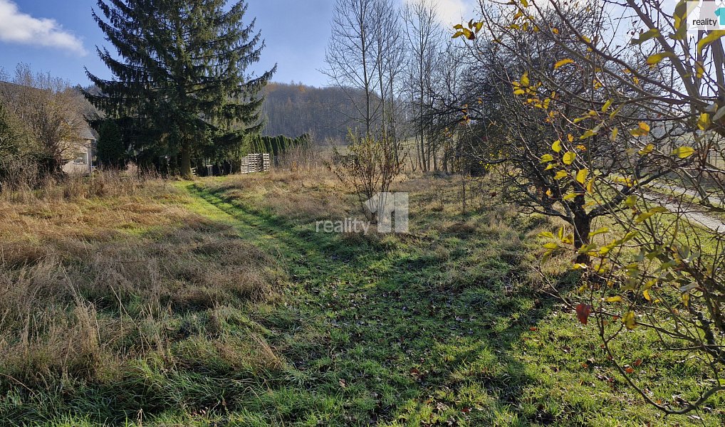 Prodej louky 1 669 m², Dalovice – náhled fotky 3