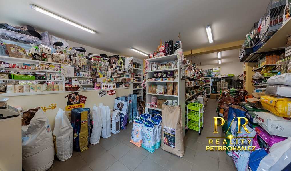 Prodej domu 172 m² s pozemkem 1 864 m², Žlutice – náhled fotky 4