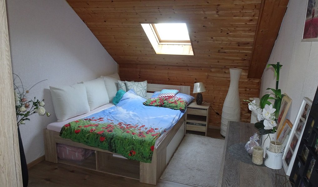 Prodej domu 250 m² s pozemkem 320 m², Pardubice – náhled fotky 22