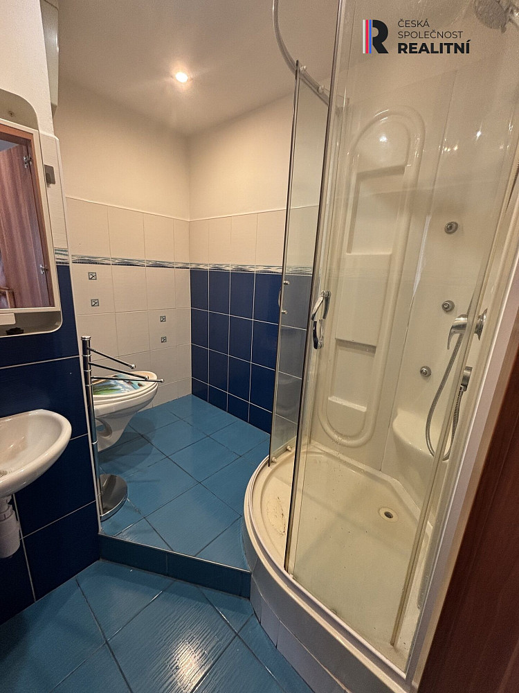 Pronájem bytu 1+1 37 m² — photo 3