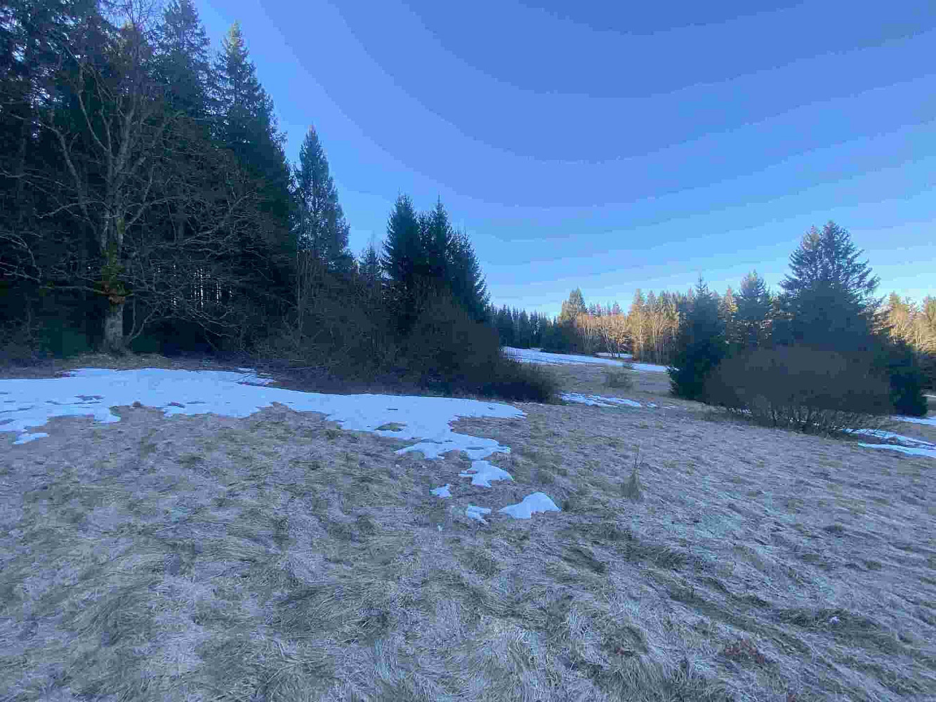 Prodej pole 2 377 m² – fotografie 3