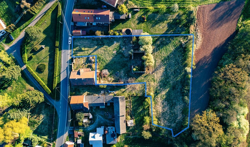 Prodej stavebního pozemku 3 831 m², Svojetín – náhled fotky 2