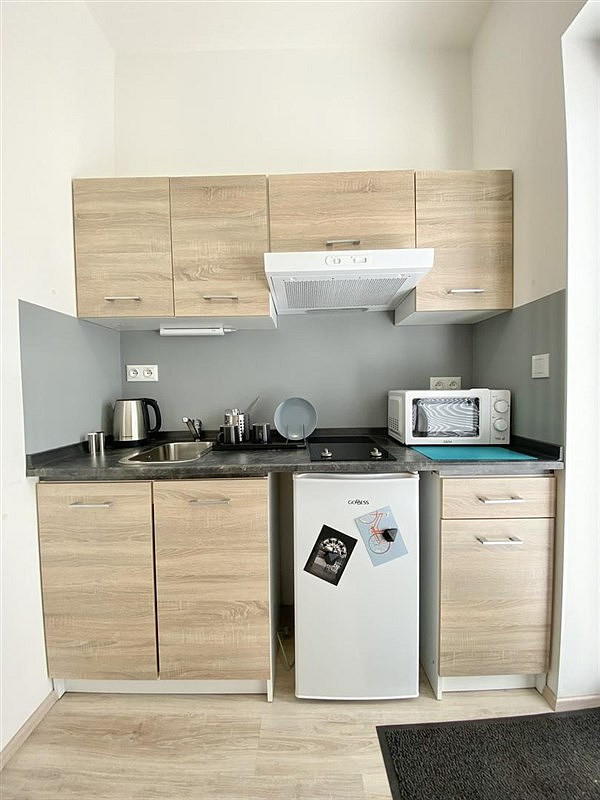 Pronájem bytu 1+kk 18 m² – další