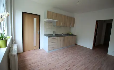 Pronájem bytu 3+kk 68 m², Plzeňská, Ostrava - Zábřeh