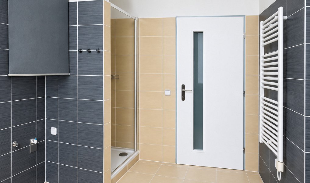 Pronájem bytu 1+kk 38 m², Plzeň – náhled fotky 4