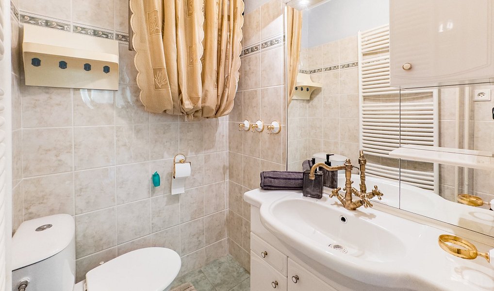 Prodej domu 245 m² s pozemkem 390 m², Brno – náhled fotky 11