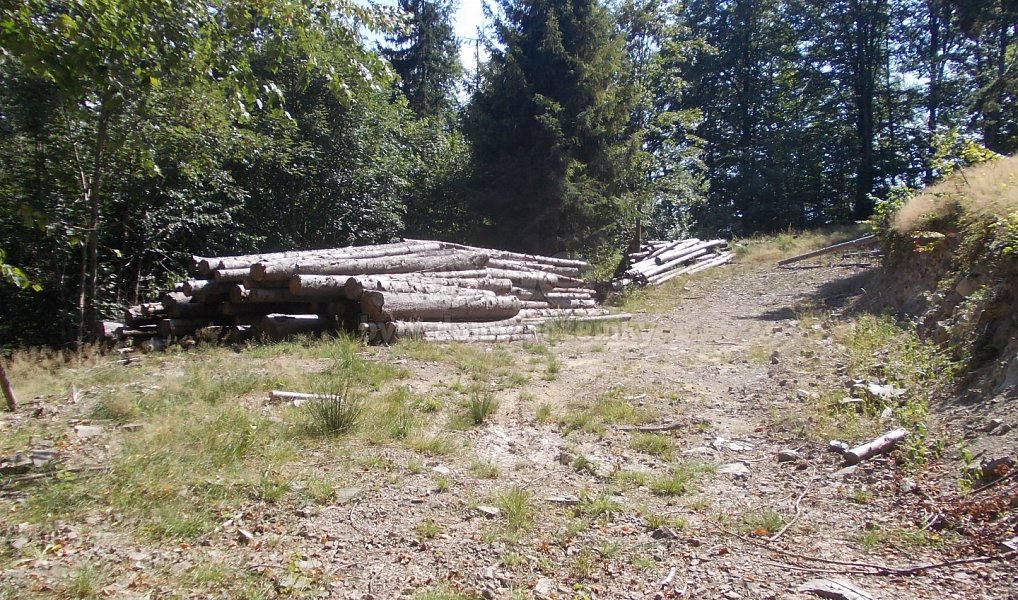 Prodej chaty/chalupy 36 m² s pozemkem 3 955 m², Pstruží – fotka 1 z 8