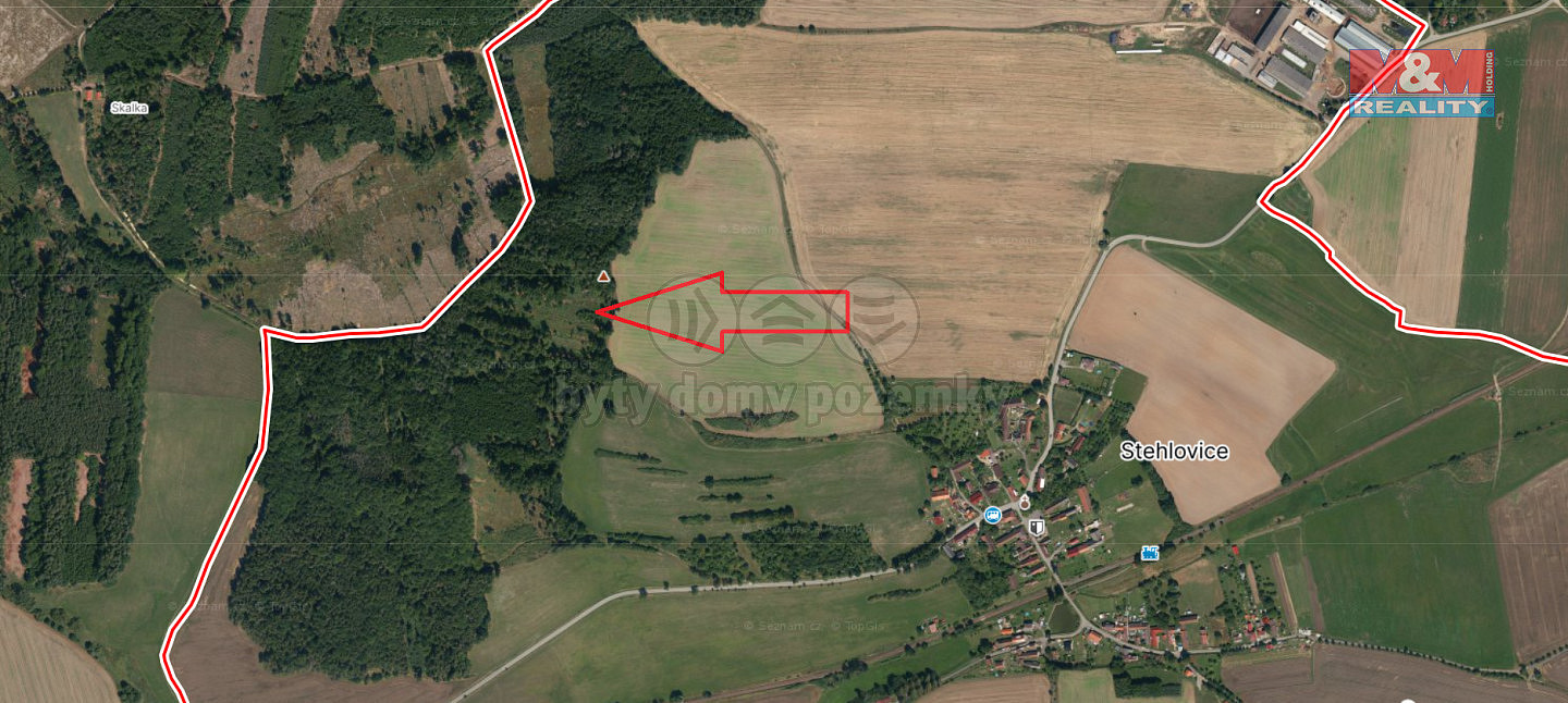 Prodej lesa 4 125 m² — photo 3