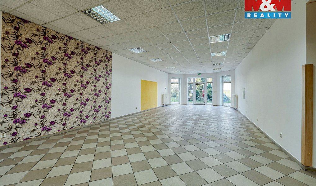 Pronájem obchodních prostor 133 m², Třemošná – náhled fotky 6