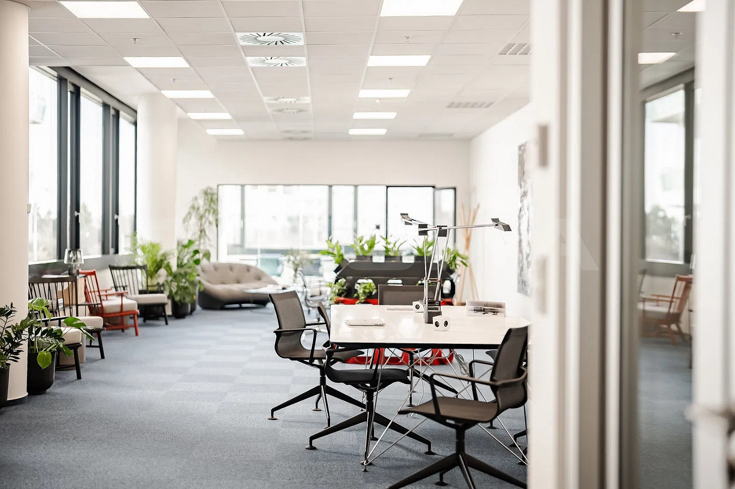 Fotka 20 z 20