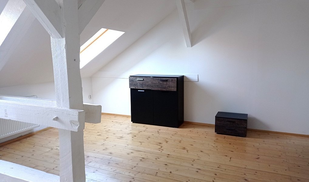 Pronájem bytu 2+kk 58 m², Plzeň – náhled fotky 2