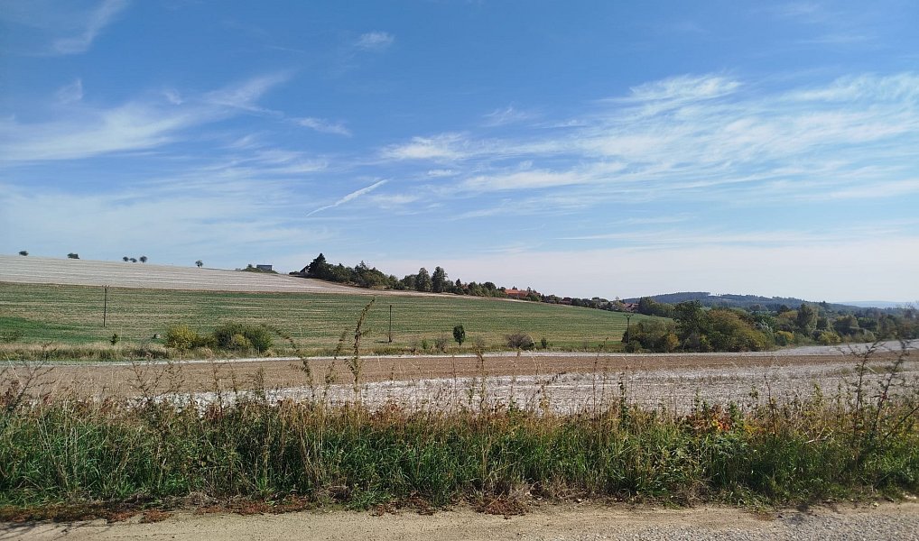 Prodej pole 56 184 m², Ježkovice – náhled fotky 16