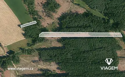 Prodej lesa 21 469 m², Chrbonín, okres Tábor
