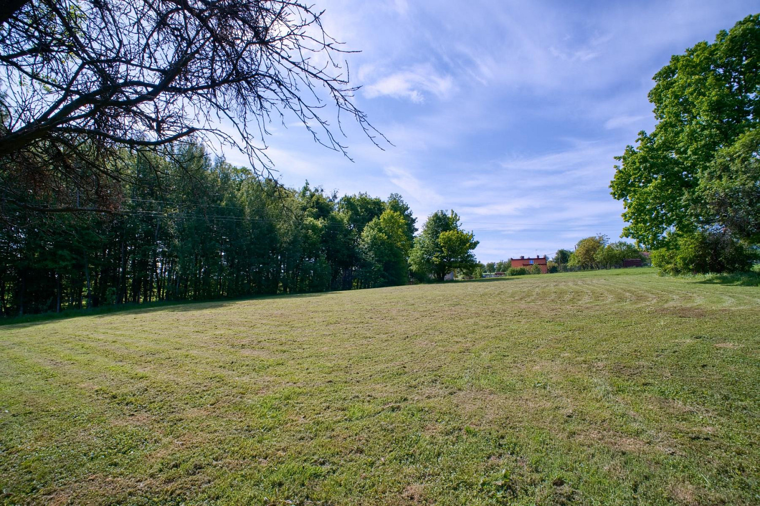 Prodej stavebního pozemku 2 312 m² — photo 4