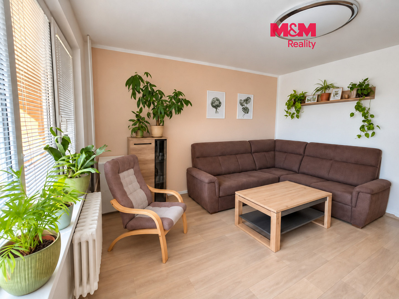 Prodej bytu 3+1 63 m²