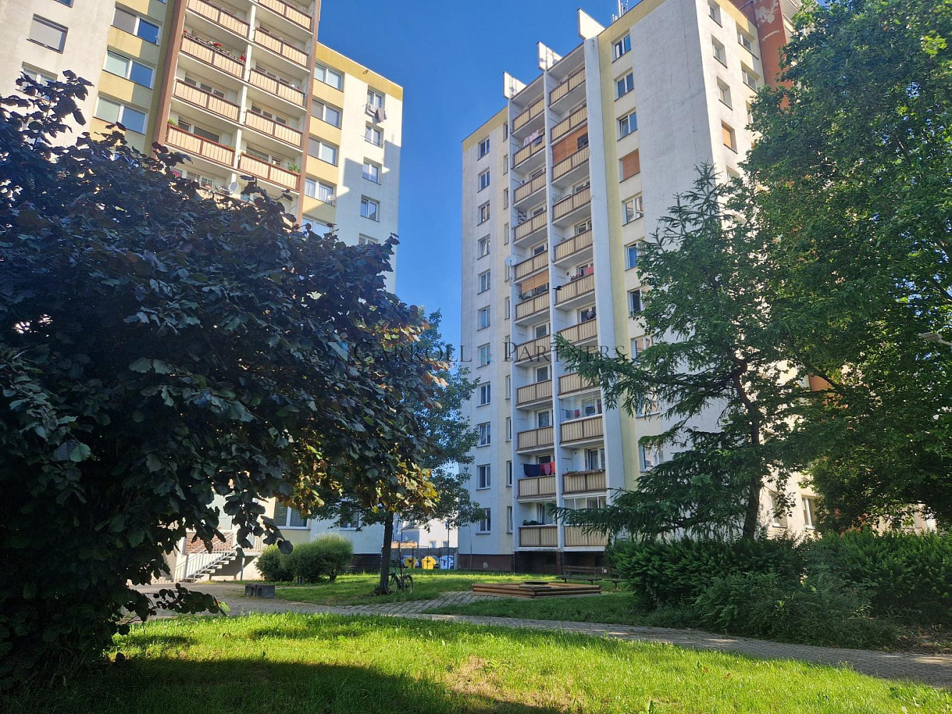 Pronájem komerčního objektu (jiného typu) 75 m² — photo 4