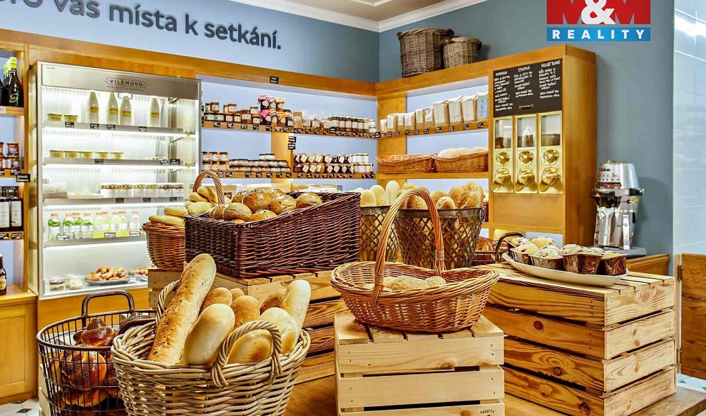Pronájem obchodních prostor 86 m², Třemošná – náhled fotky 2