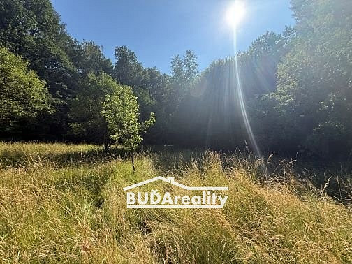 Prodej lesa 6 667 m²