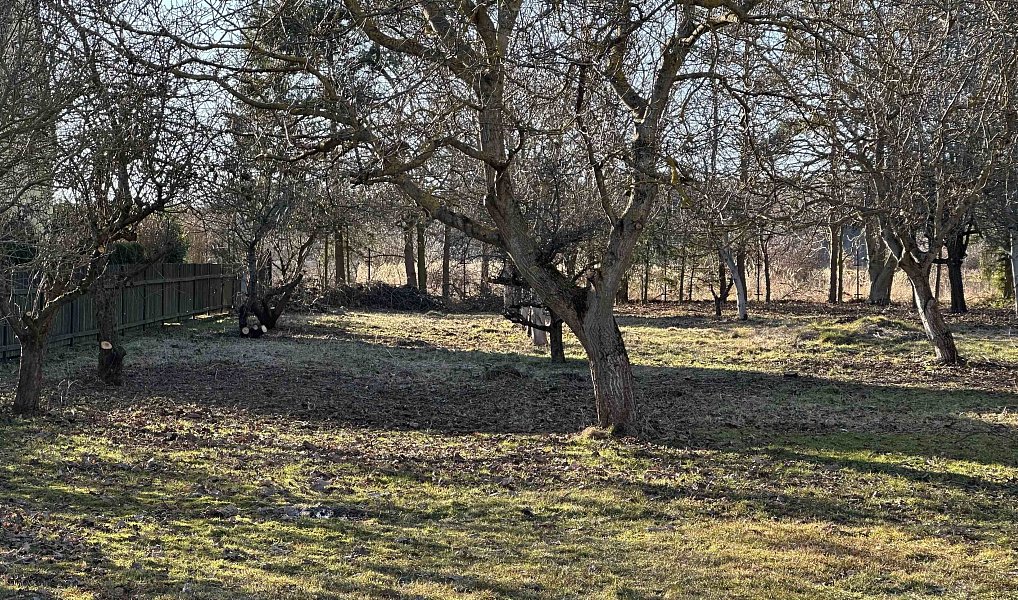 Prodej stavebního pozemku 1 472 m², Pičín – náhled fotky 9