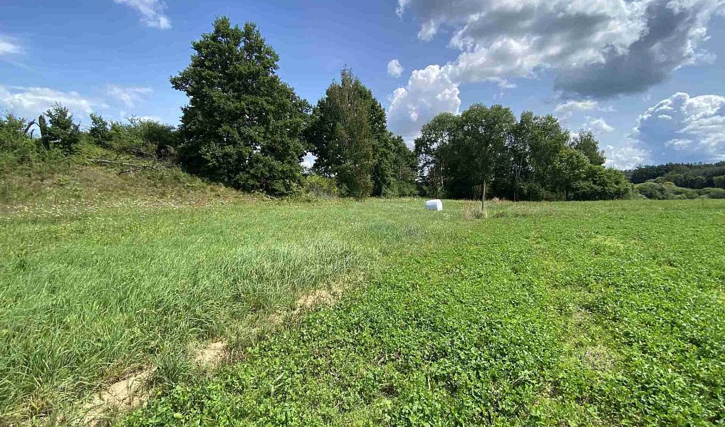 Prodej pole 55 481 m², Lhenice – náhled fotky 7