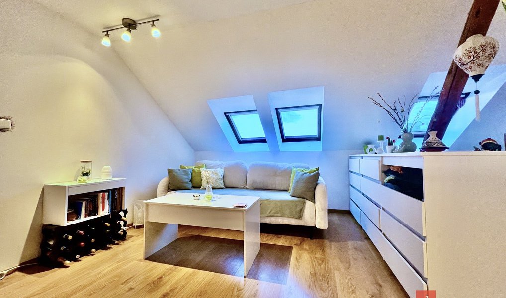 Pronájem bytu 1+1 40 m², Opava – náhled fotky 4
