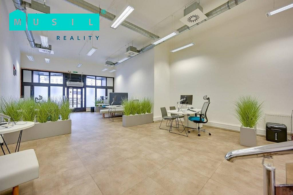 Pronájem obchodních prostor 300 m² – fotografie 3