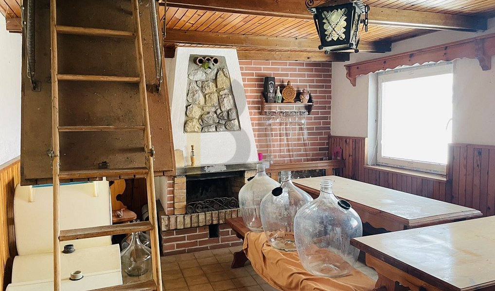 Prodej vinného sklepa, Dolní Bojanovice, Dolní Bojanovice – náhled fotky 6