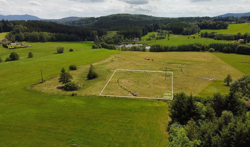 Prodej stavebního pozemku 2 459 m², Česká Kubice – náhled fotky 2