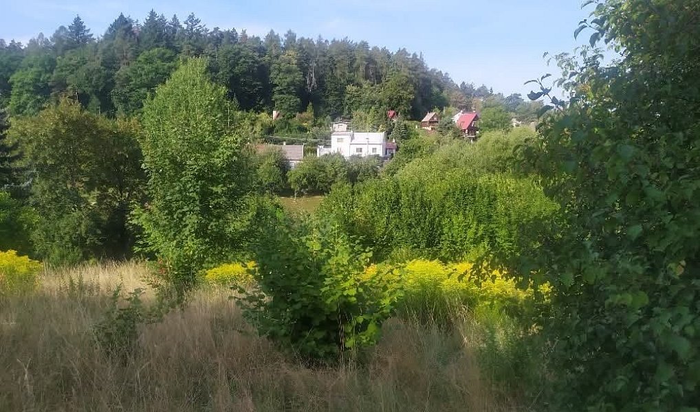 Prodej pozemku 411 m², Olomouc – náhled fotky 6