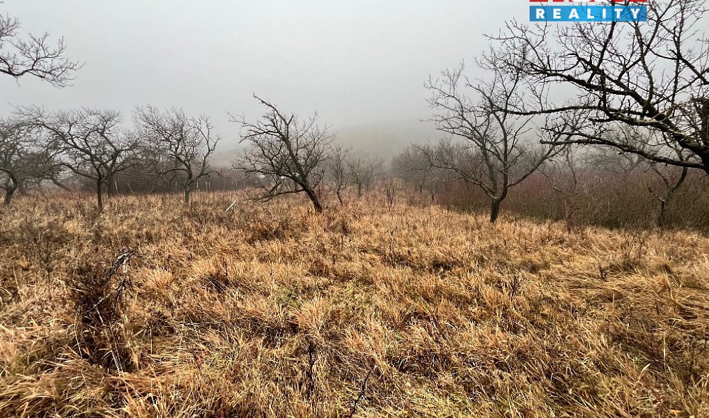 Prodej zahrady 2 207 m², Židlochovice – náhled fotky 5