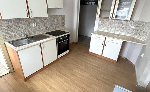 Pronájem bytu 2+1 49 m², Malé Březno, okres Ústí nad Labem