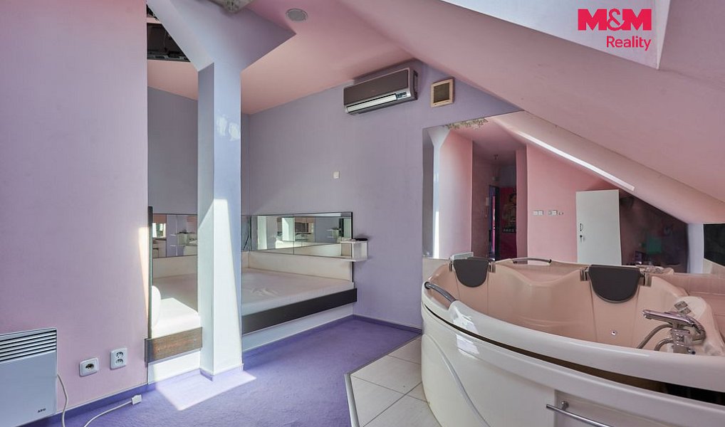 Pronájem obchodních prostor 365 m², Drslavice – náhled fotky 14