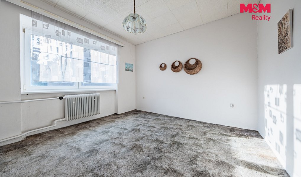 Prodej domu 365 m² s pozemkem 2 873 m², Račetice – náhled fotky 13