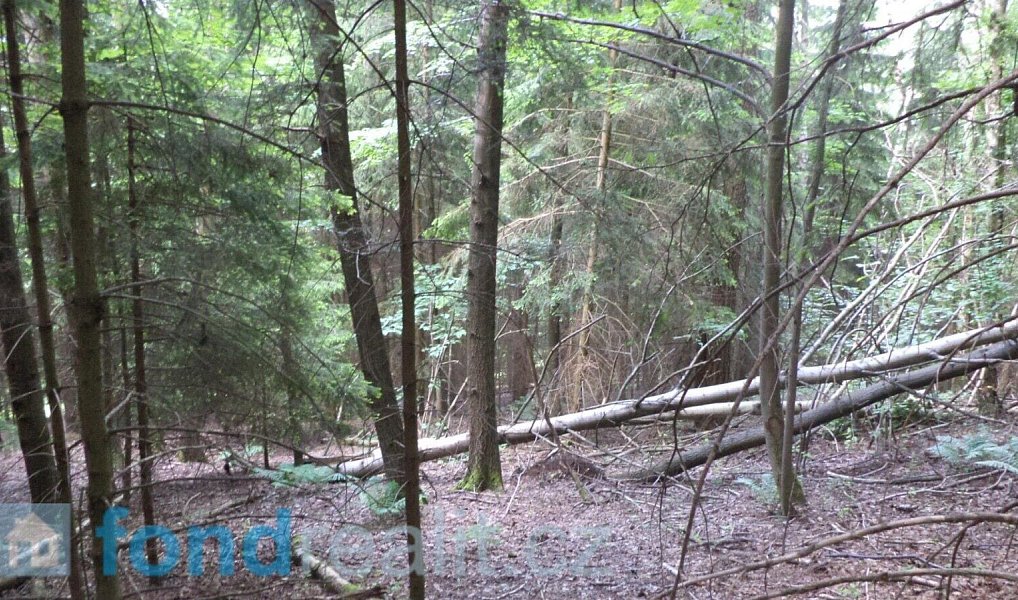 Prodej pozemku 4 634 m², Dolní Dobrouč – náhled fotky 5