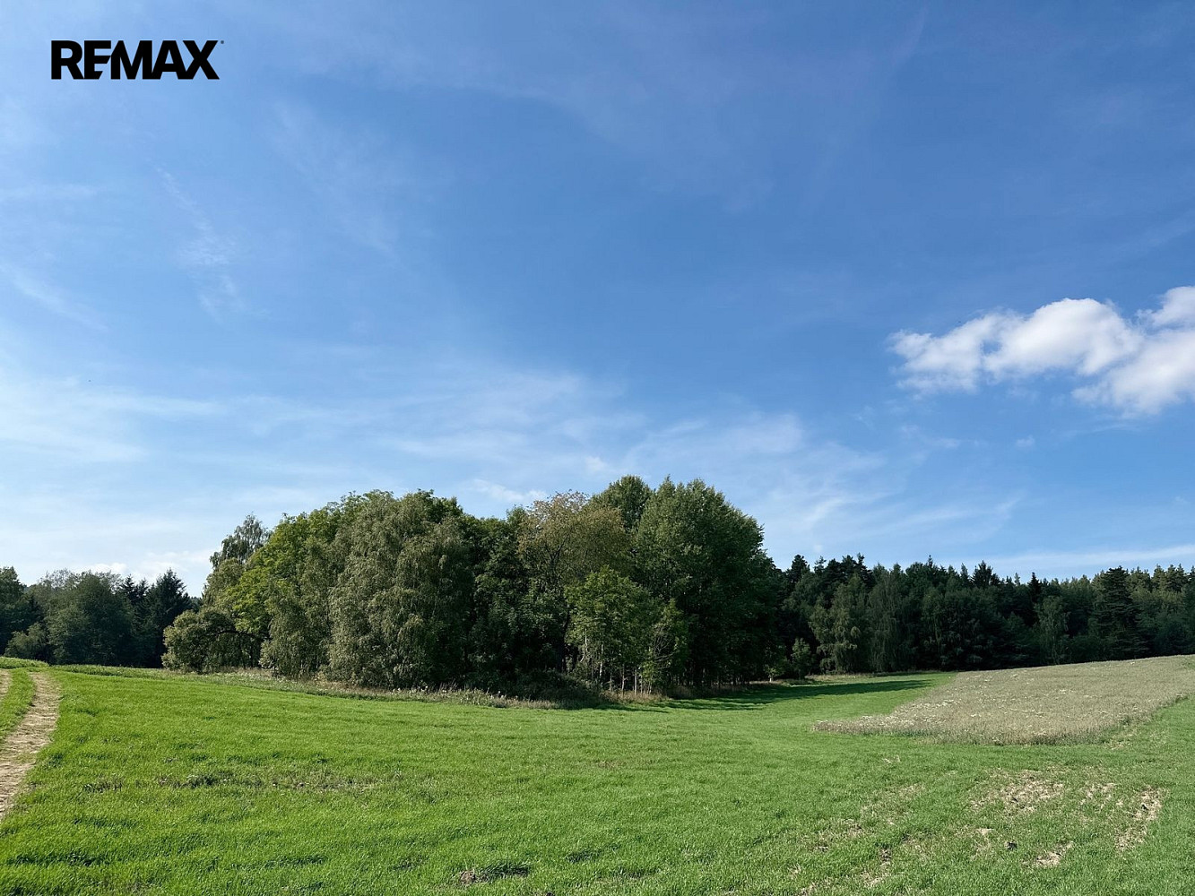 Prodej lesa 12 651 m²