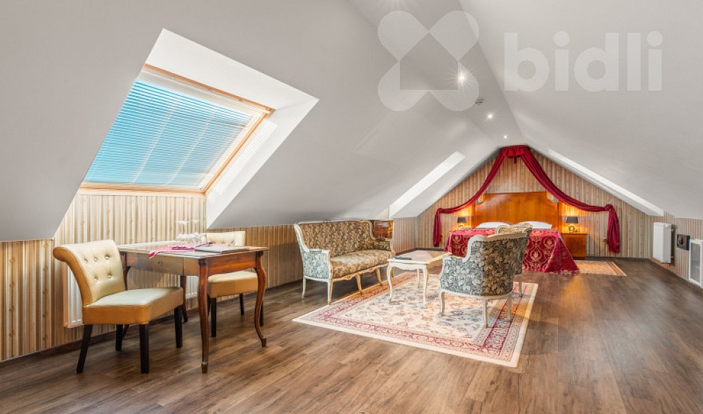 Prodej ubytovacího objektu 1 300 m², Lednice – náhled fotky 12