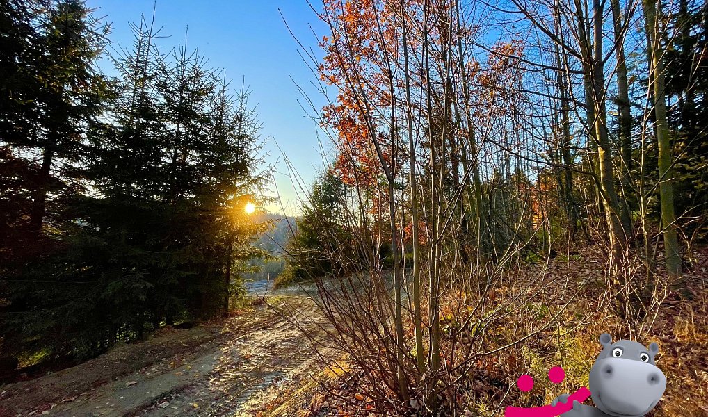 Prodej stavebního pozemku 1 646 m², Prostřední Bečva – náhled fotky 5