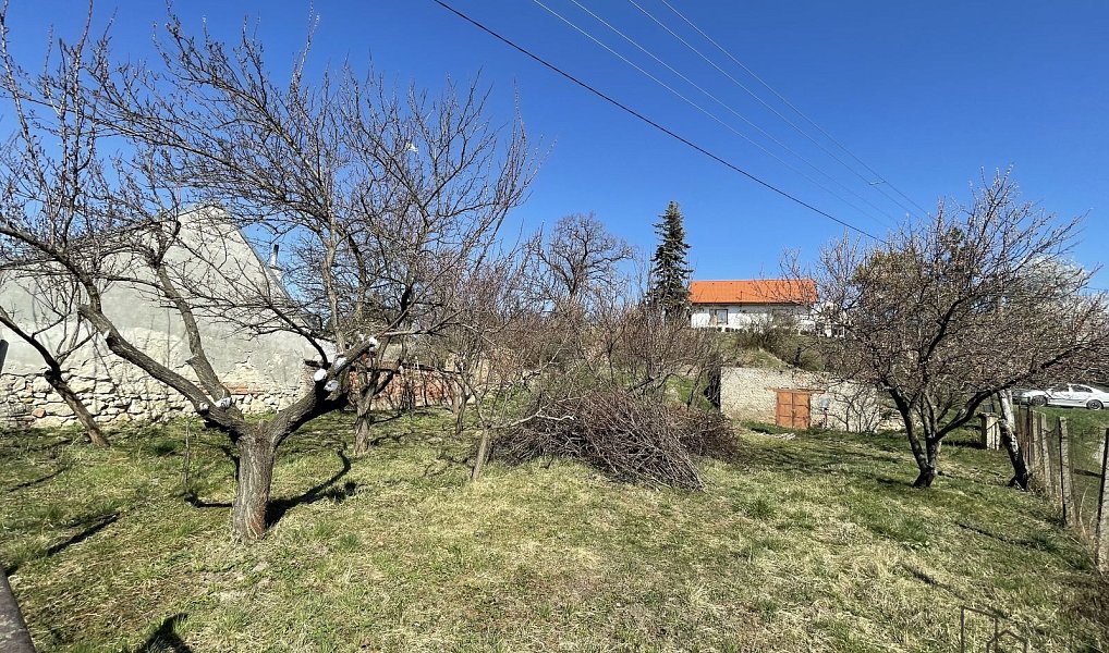 Prodej vinného sklepa s pozemkem (663 m2) ve Valticích-část Úvaly., Valtice – náhled fotky 17