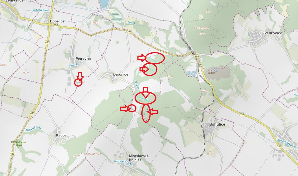 Prodej lesa 6 189 m², Lesonice – náhled fotky 13