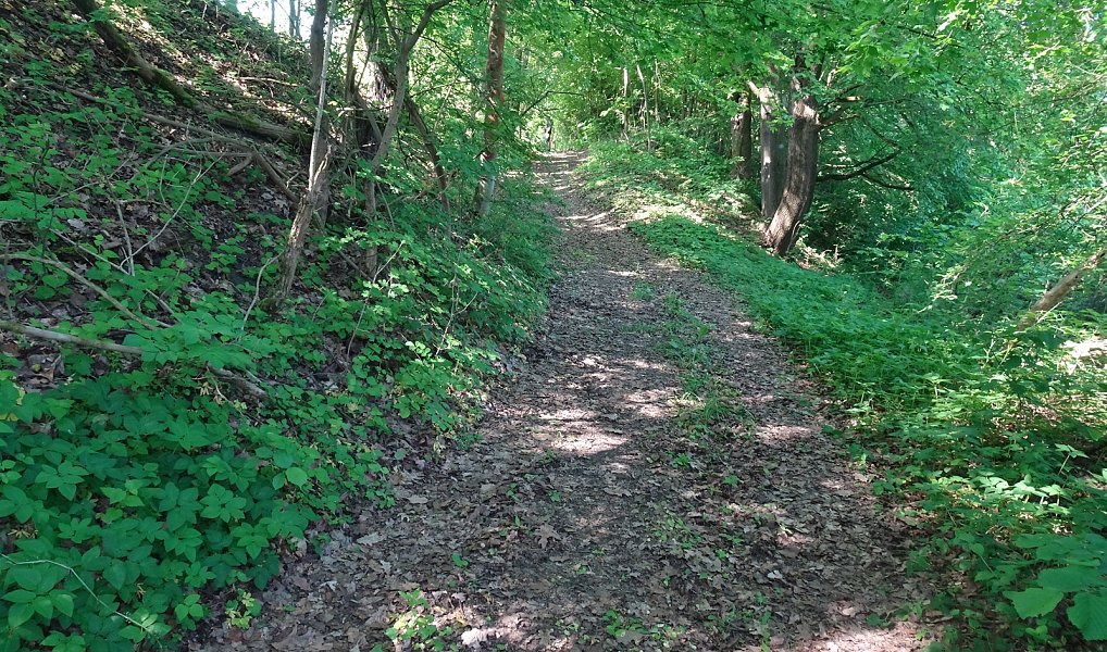 Pronájem pozemku 1 000 m², Valy – náhled fotky 10