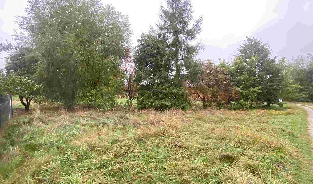 Prodej stavebního pozemku 588 m², Dolní Bukovsko – náhled fotky 5