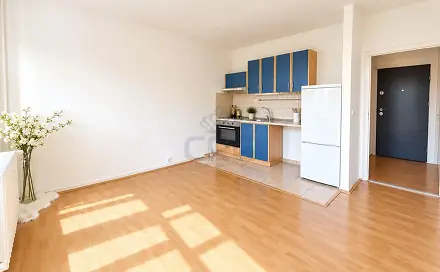 Prodej bytu 1+kk 33 m²