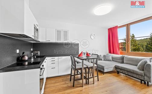 Prodej bytu 3+kk 46 m², Loučná pod Klínovcem - Háj, okres Chomutov