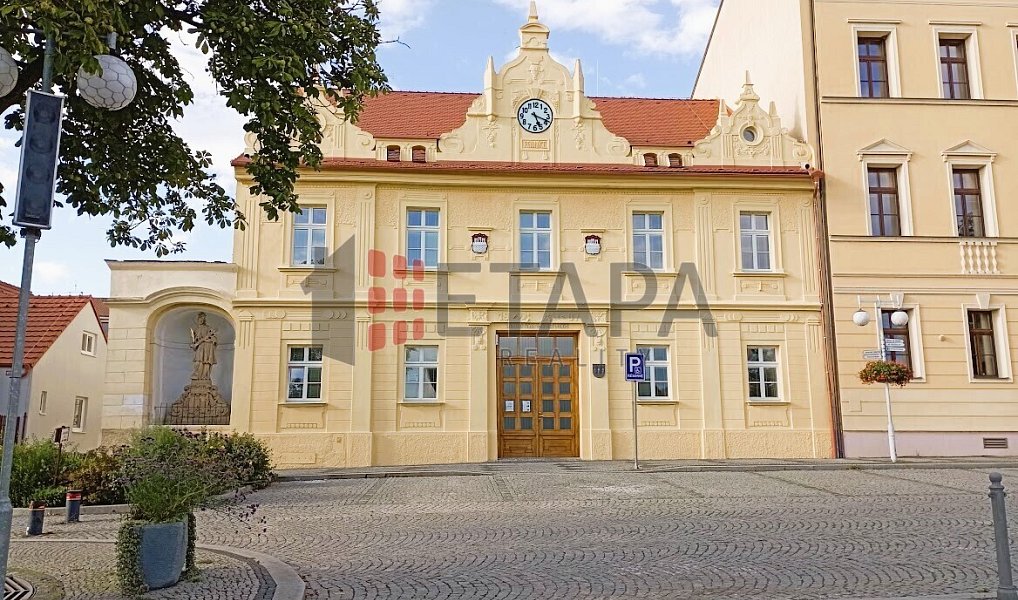 Prodej stavebního pozemku 4 932 m², Spálené Poříčí – náhled fotky 10