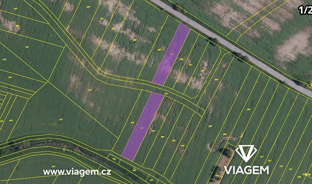 Prodej pole 1 198 m², Krumvíř – náhled fotky 4