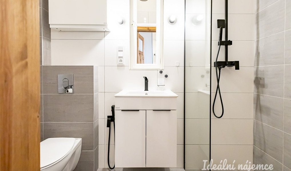 Pronájem bytu 3+kk 62 m², Praha – náhled fotky 12