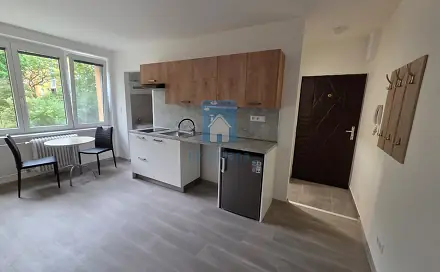 Pronájem bytu 1+kk 25 m², Táborská, Plzeň - Východní Předměstí