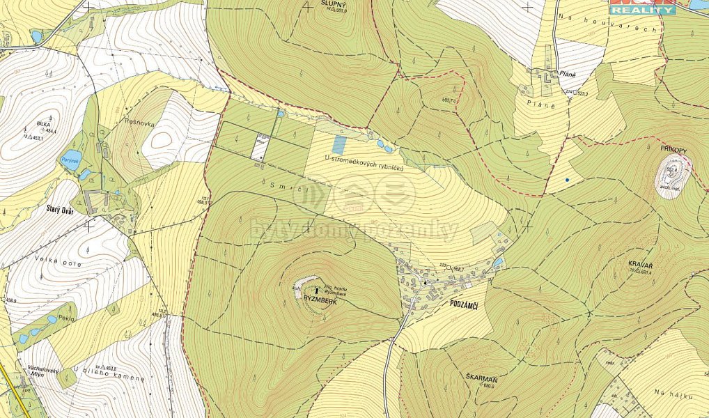 Prodej louky 3 951 m², Kdyně – náhled fotky 6