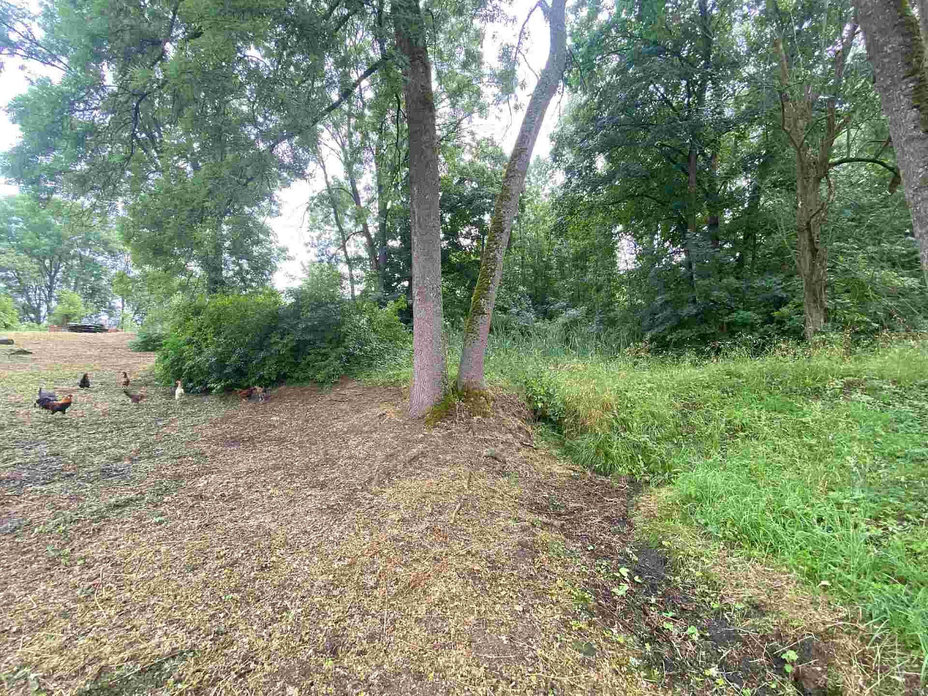 Prodej pozemku 1 993 m² – fotografie 2